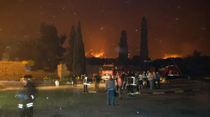 שריפה בכרמל,  דצמבר 2010