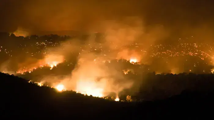 שריפה בכרמל, דצמבר 2010 שריפה בכרמל, דצמבר 2010