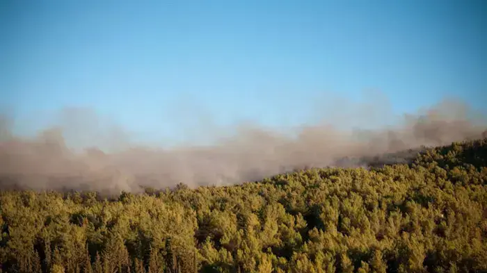שריפת הענק בכרמל, עוספייה, יום שבת שריפת הענק בכרמל, עוספייה, יום שבת