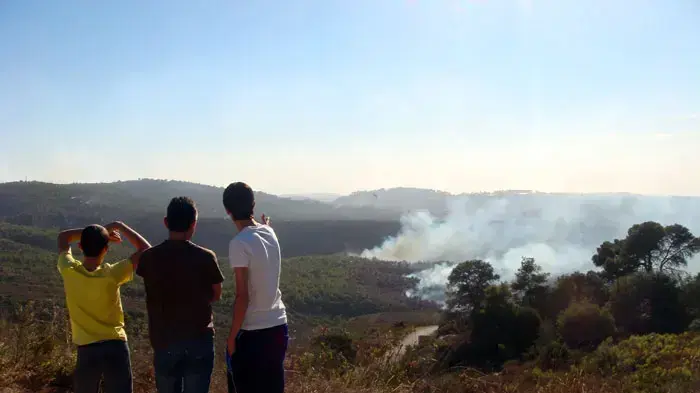 תושבי דניה מביטים בשריפה, יום שבת תושבי דניה מביטים בשריפה, יום שבת