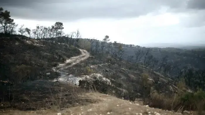 תוצאות שריפת הענק בכרמל, יום שני תוצאות שריפת הענק בכרמל, יום שני