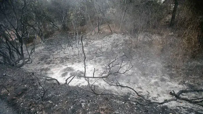 תוצאות שריפת הענק בכרמל, יום שני