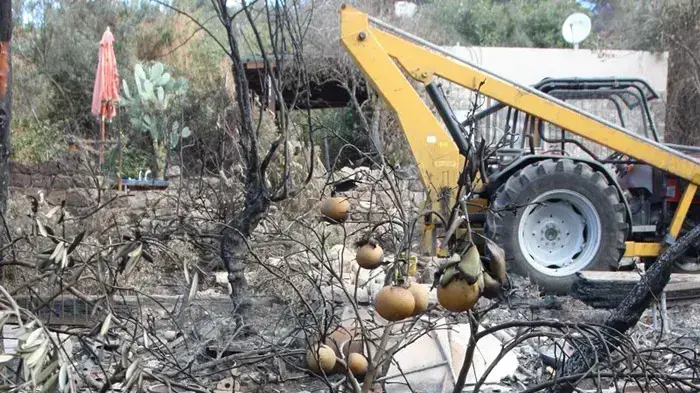 תוצאות שריפת הענק בכרמל, יום שני