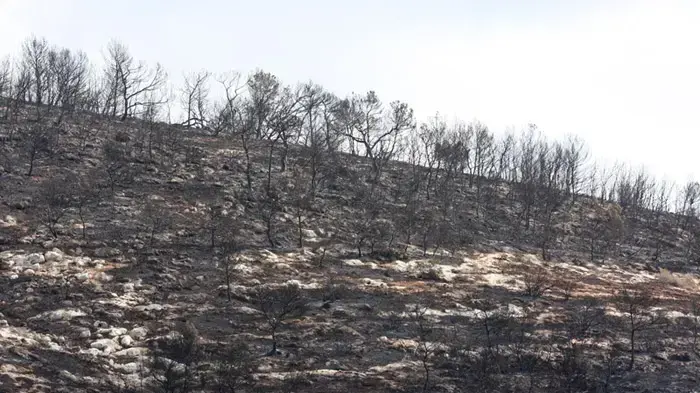 תוצאות שריפת הענק בכרמל, יום שני תוצאות שריפת הענק בכרמל, יום שני