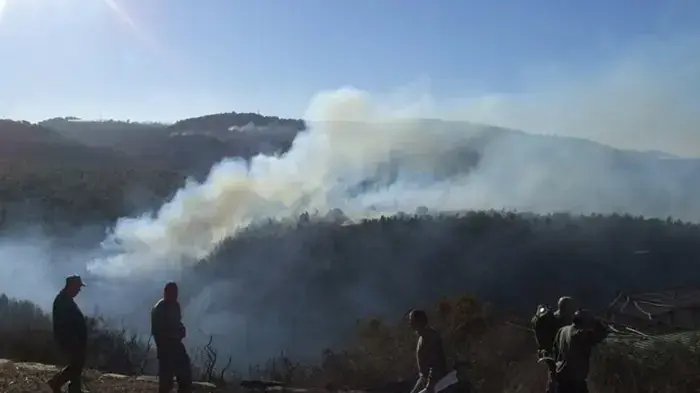 שריפה בכרמל, תמונות גולשים שריפה בכרמל, תמונות גולשים