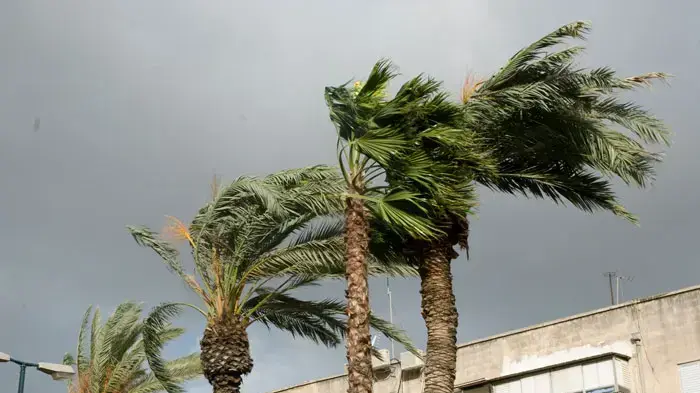 נושא: גשם ומזג אוויר חורפי בתל אביב