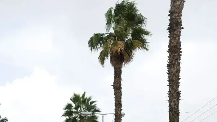 הסופה הראשונה של החורף, אזור המרכז, דצמבר 2010 הסופה הראשונה של החורף, אזור המרכז, דצמבר 2010
