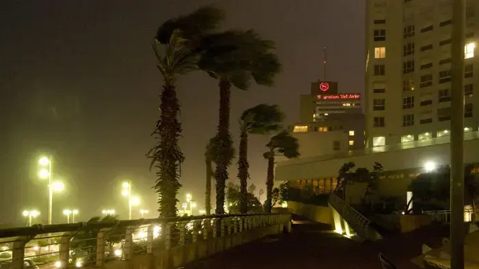 נזקי הסערה בתל אביב, דצמבר 2010 נזקי הסערה בתל אביב, דצמבר 2010