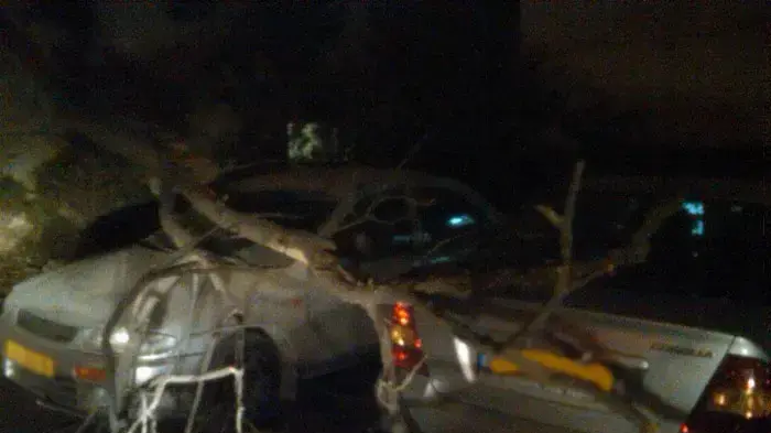 עץ שקרס על מספר רכבים בעקבות מזג האוויר והרוחות הסוערות ברחוב שטראוס בירושלים
