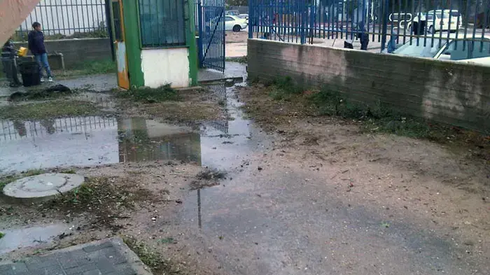 בית הספר יסמין בלוד בית הספר יסמין בלוד
