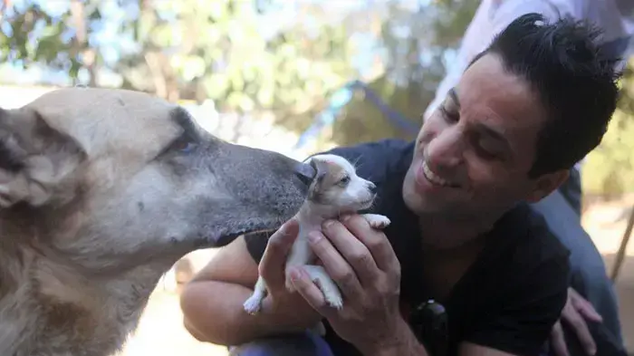 שחר חסון בכלבייה הכלבים של אורה שחר חסון בכלבייה הכלבים של אורה