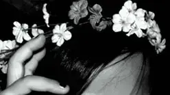 Euphoria Euphoria