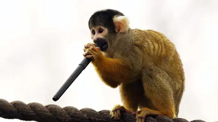 ספירת מלאי בעלי החיים בגן החיות של לונדון