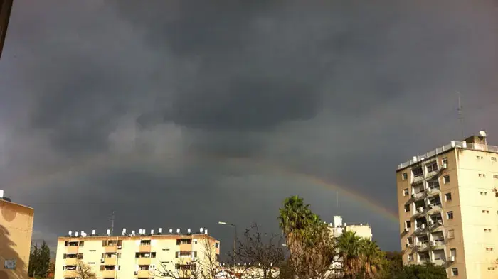 שלג בצפון הארץ, ינואר 2011