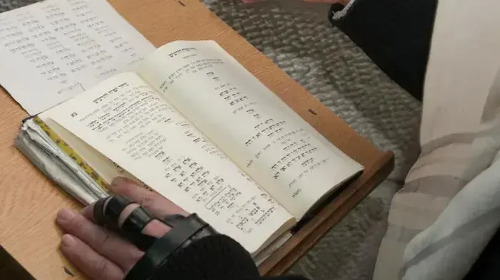 הילולת הבאבא סאלי בנתיבות, ינואר 2011