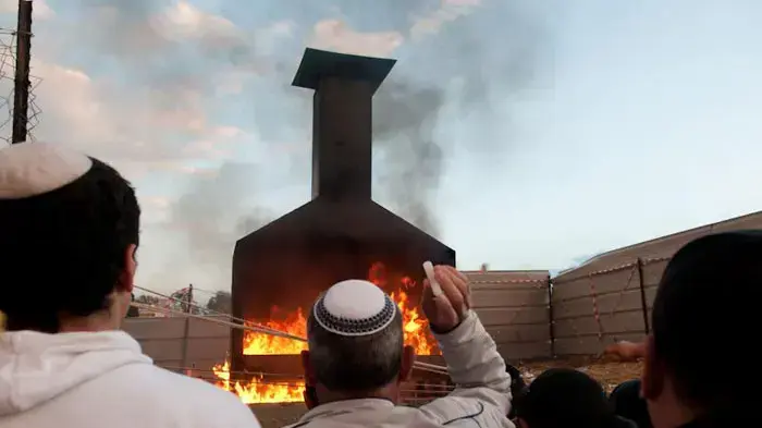 הילולת הבאבא סאלי בנתיבות, ינואר 2011