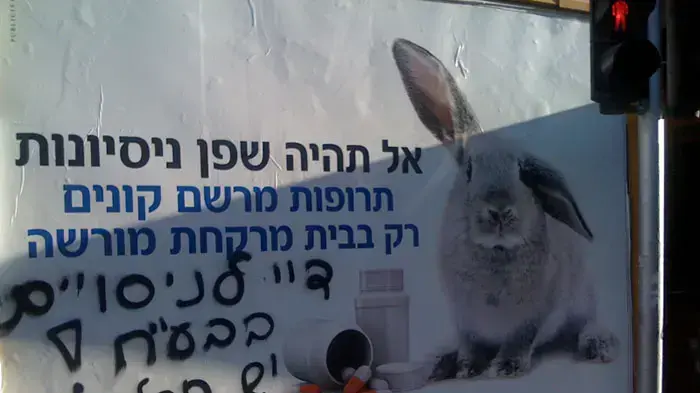 גרפיטי בתל אביב נגד ניסויים בבעלי חיים ותעשיית הפרוות גרפיטי בתל אביב נגד ניסויים בבעלי חיים ותעשיית הפרוות
