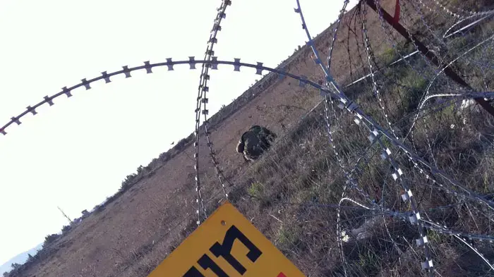 פינוי שדה מוקשים ב"עין מוקש" בצפון רמת הגולן, ינואר 2011