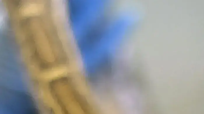 תחנת הסגר לחיות בנמל התעופה הית'רו בלונדון