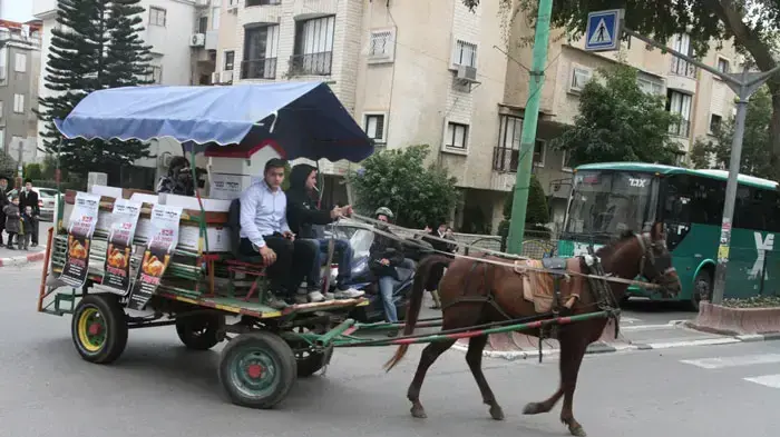 מתנדבים של עמותת "חסדי נעמי" מחלקים מזון לנזקקים בעגלה עם סוס מתנדבים של עמותת "חסדי נעמי" מחלקים מזון לנזקקים בעגלה עם סוס