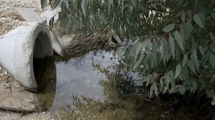 מי שתייה מצריפין שזורמים לתעלה בבית החולים אסף הרופא מי שתייה מצריפין שזורמים לתעלה בבית החולים אסף הרופא