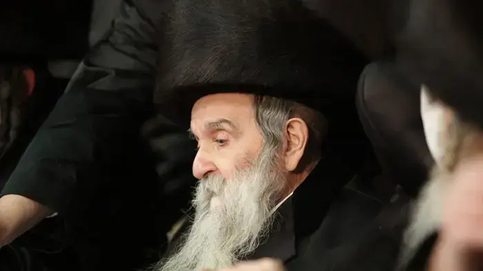 חתונת נכדתו של האדמו"ר מוישניץ בבני ברק, פברואר 2011