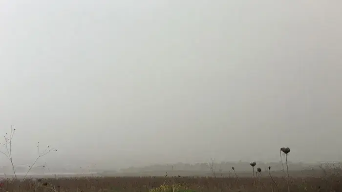 מזג אוויר אביך בצפון הארץ, פברואר 2011