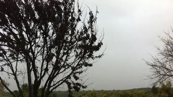 מזג אוויר אביך בצפון הארץ, פברואר 2011