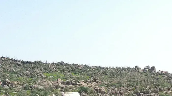 מטוס קל התרסק סמוך לכפר טובא זנגרייה, מרץ 2011 מטוס קל התרסק סמוך לכפר טובא זנגרייה, מרץ 2011