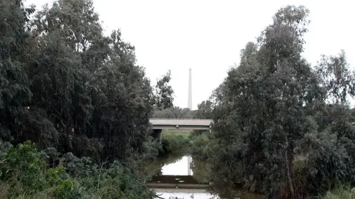 מפעלי נייר חדרה, מרץ 2011
