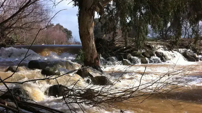 נהר הירדן בצפון הארץ במהלך הגשם, מרץ 2011
