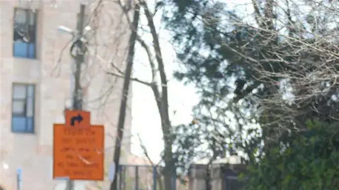 עשרות סטודנטים עצרו את התנועה למשך 5 דקות ברוחב הנביאים בירושלים, מרץ 2011