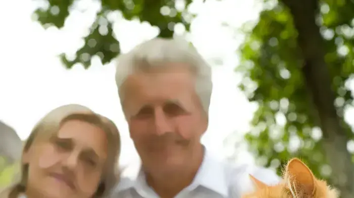 חתול ג'ינג'י מקדימה זוג קשישים מאחור יושבים על דשא חתול ג'ינג'י מקדימה זוג קשישים מאחור יושבים על דשא