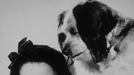 אליזבט טיילור מתוך " National Velvet"