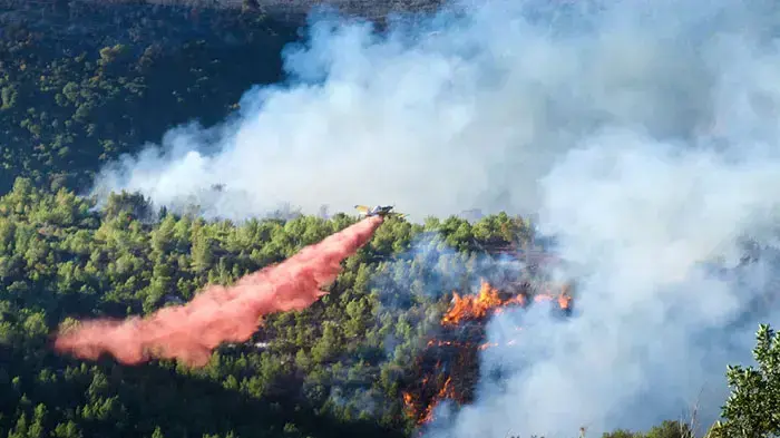 תמונות השריפה בכרמל שצילמו עובדי רשות הטבע והגנים