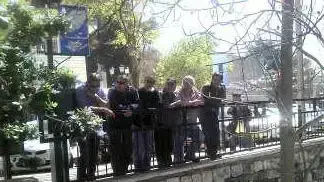צמחי גראס נמצאו ליד עיריית צפת, מרץ 2011 צמחי גראס נמצאו ליד עיריית צפת, מרץ 2011