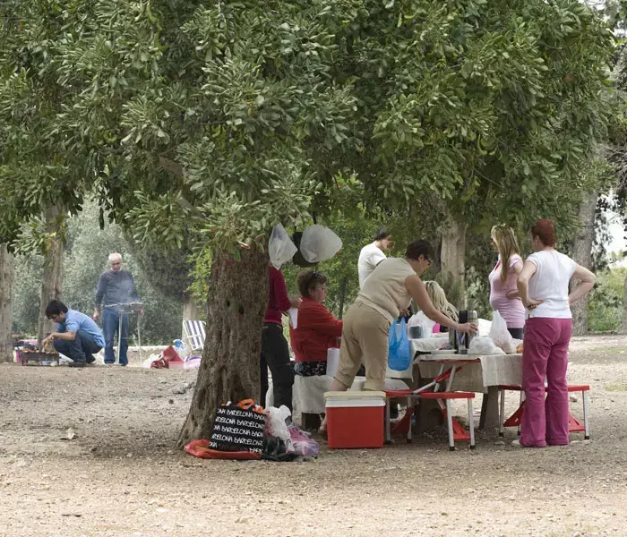 בצפון בדרום ובמרכז- צפו באלפי המטיילים בחג