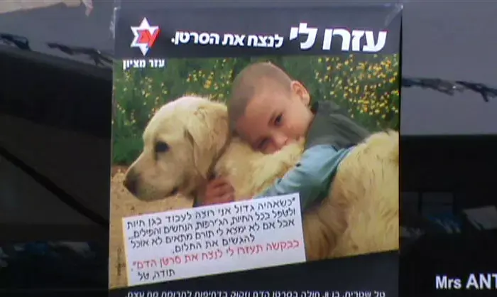 מאות סייעו באיתור מח עצם לטל: "רוצים להצילו"