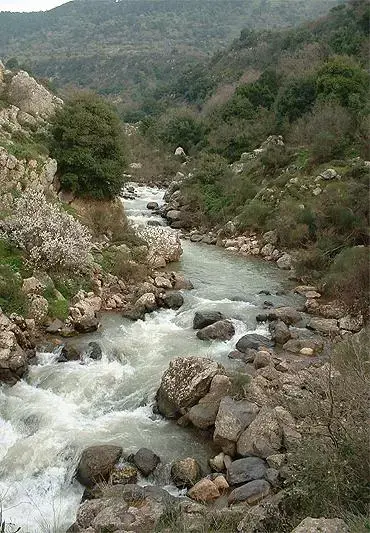 מי עדן שוב הפסיקה את מילוי הבקבוקים
