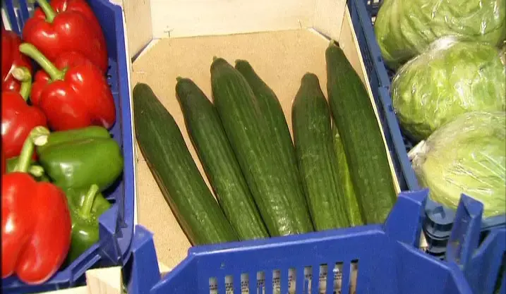 קדחת המלפפונים הספרדים: לפחות 10 מתו בגרמניה