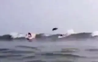תיעוד מדהים: כריש מזנק מעל גולש גלים