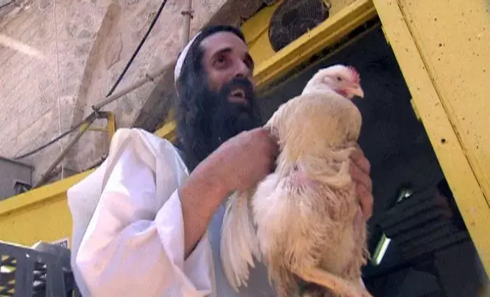 התרנגול עם ארבע הרגליים שמשגע את ירושלים