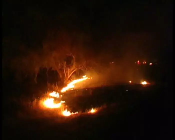 קצינים בכירים: "הדרג המדיני מנע מבצע בגלל מצרים"