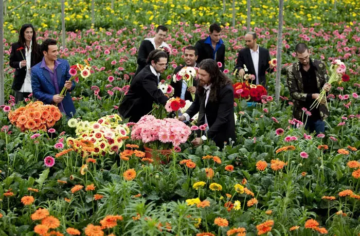 הערב: הופעה של להקת נפגעי פעולות צבאיות
