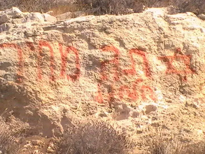 תג מחיר בגדה: הושחתו 45 עצי זית של פלסטינים