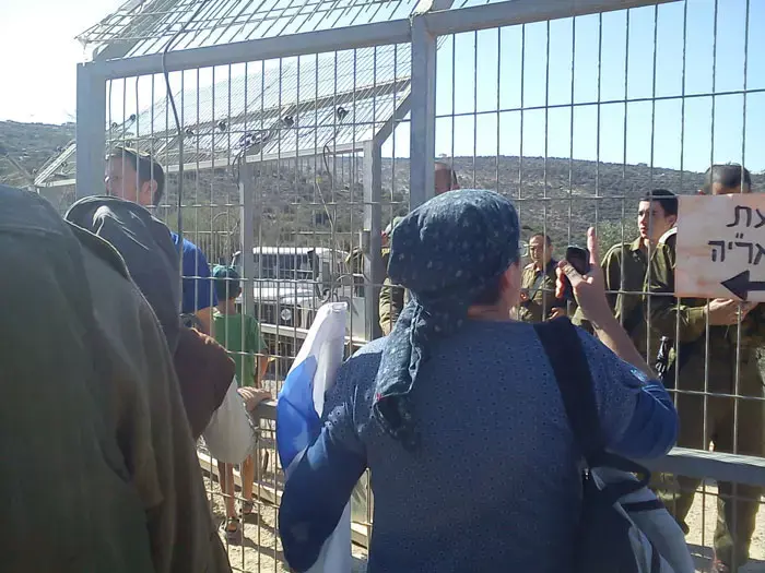 זעם באיתמר: פלסטינים מוסקים זיתים ליד בית פוגל