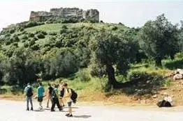 1 - קלעת נמרוד