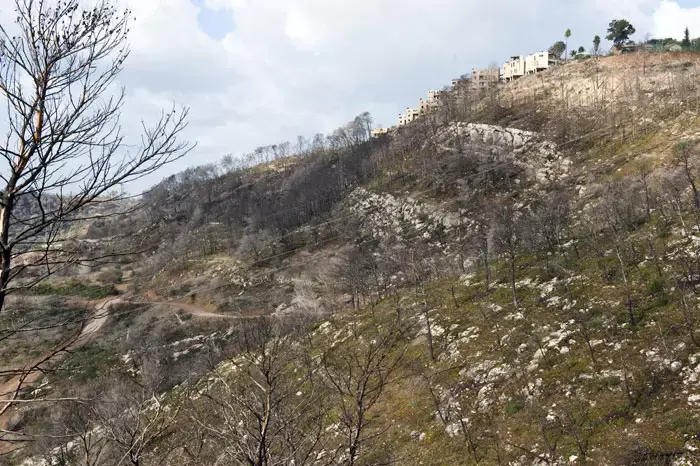 שנה אחרי: נסגר התיק נגד החשודים בהצתת האש בכרמל