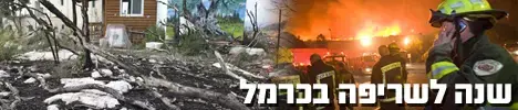 שנה לשריפה בכרמל