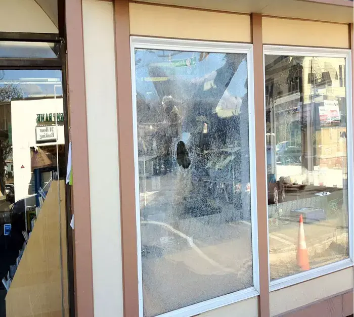 אנטישמיות בניו ג'רזי: "ליל בדולח בהיילנד פארק"